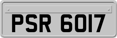 PSR6017