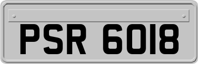 PSR6018