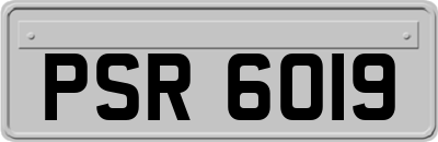 PSR6019