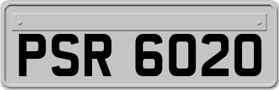 PSR6020