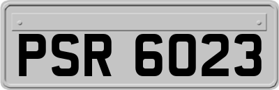 PSR6023