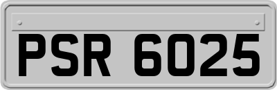PSR6025