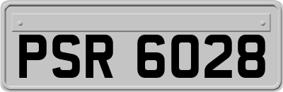 PSR6028