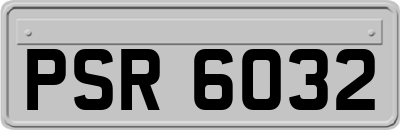 PSR6032