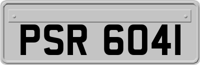 PSR6041