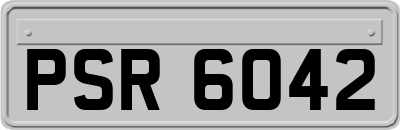 PSR6042