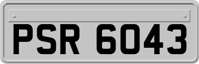 PSR6043