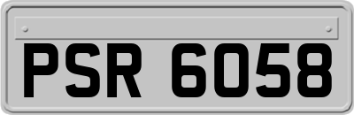 PSR6058