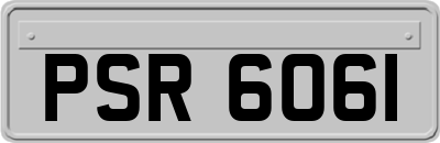PSR6061
