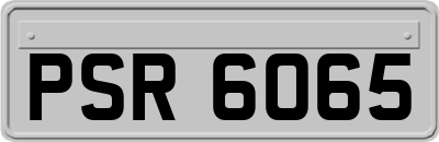 PSR6065