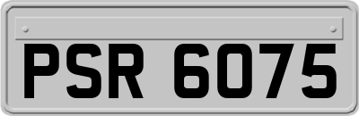 PSR6075