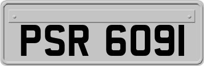 PSR6091