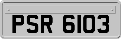 PSR6103