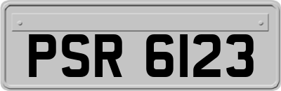 PSR6123