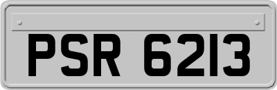 PSR6213