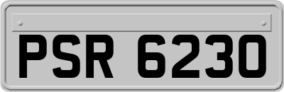 PSR6230