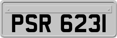 PSR6231