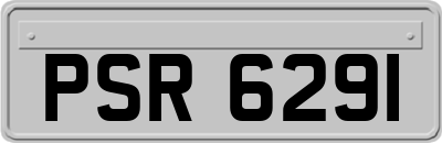 PSR6291
