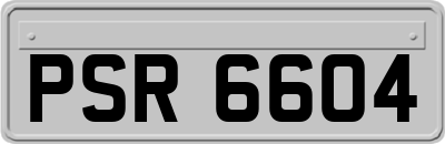 PSR6604