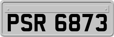 PSR6873