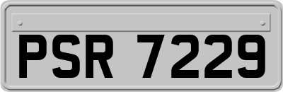 PSR7229