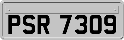 PSR7309
