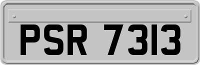PSR7313