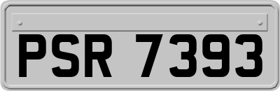 PSR7393