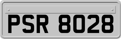 PSR8028