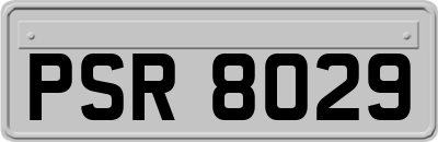 PSR8029