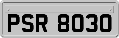 PSR8030