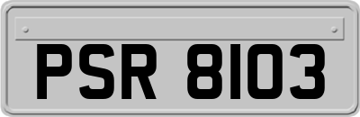 PSR8103