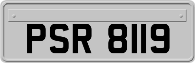 PSR8119