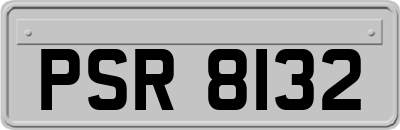 PSR8132