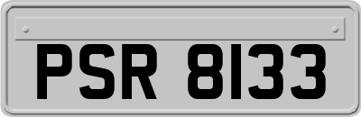 PSR8133