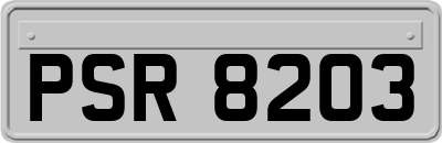 PSR8203