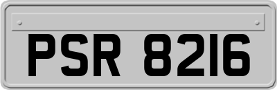 PSR8216