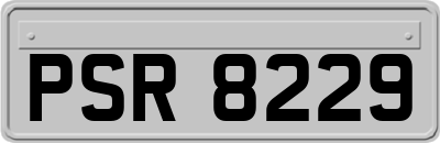 PSR8229