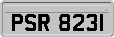 PSR8231