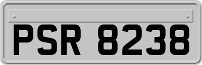 PSR8238