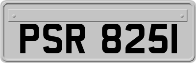 PSR8251