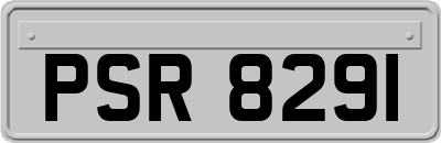 PSR8291