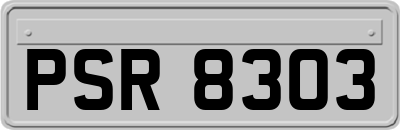 PSR8303