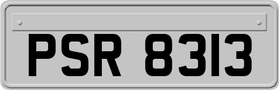 PSR8313