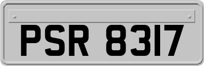 PSR8317