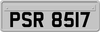 PSR8517