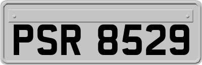 PSR8529