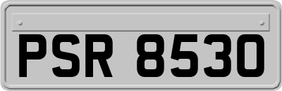 PSR8530
