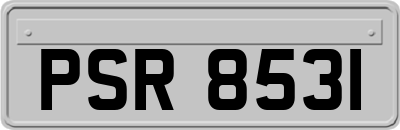 PSR8531