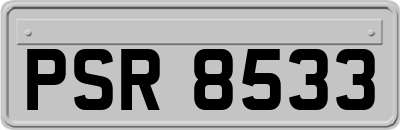 PSR8533